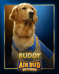 Buddy Player Card