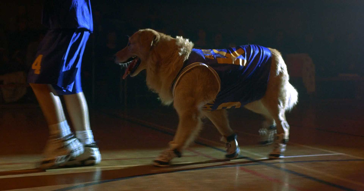 Air Bud original movie photo